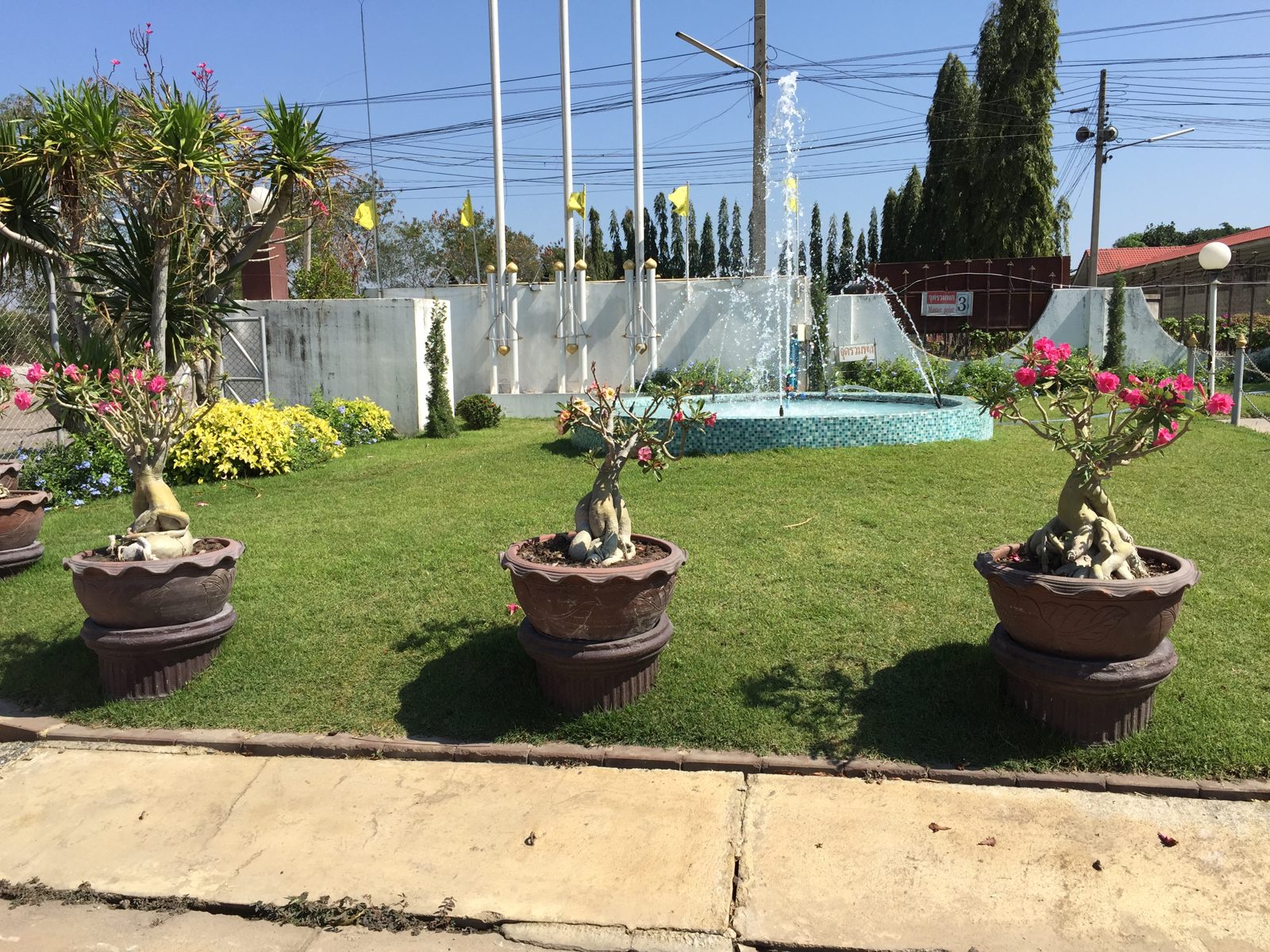 Garden and fountain at the plant